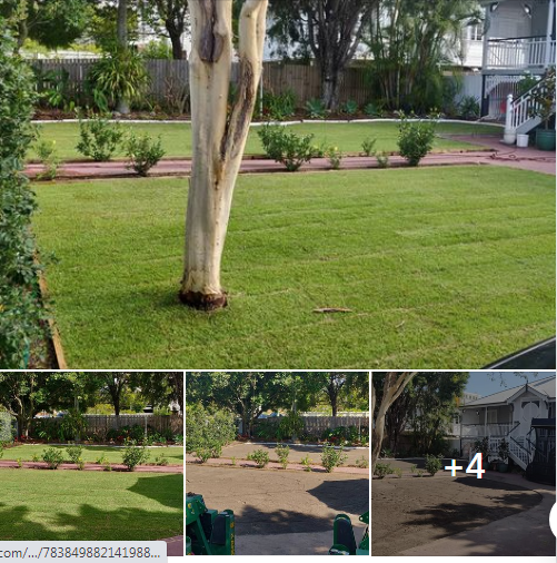 Rob from clayfield had a patchy back lawn previously layed with Wintergreen couch FeaturedImage