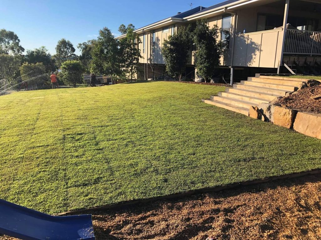 320m2 of Empire Zoysia with wifi controlled automatic irrigation system for lawn and gardens.Brendan from Springfield 06 1