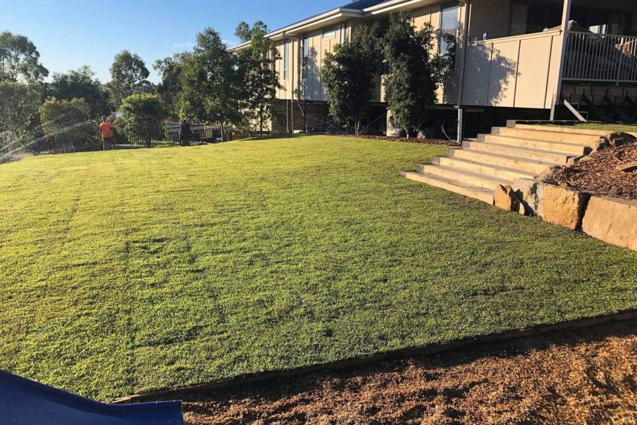 320m2 of Empire Zoysia with wifi controlled automatic irrigation system for lawn and gardens.Brendan from Springfield 06
