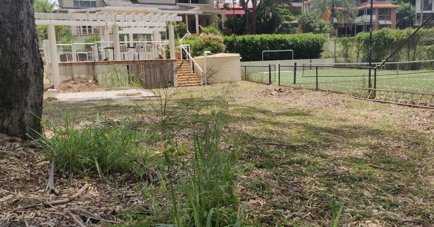 Brisbane Backyard Landscaping Ideas: Design Your Lush Oasis (