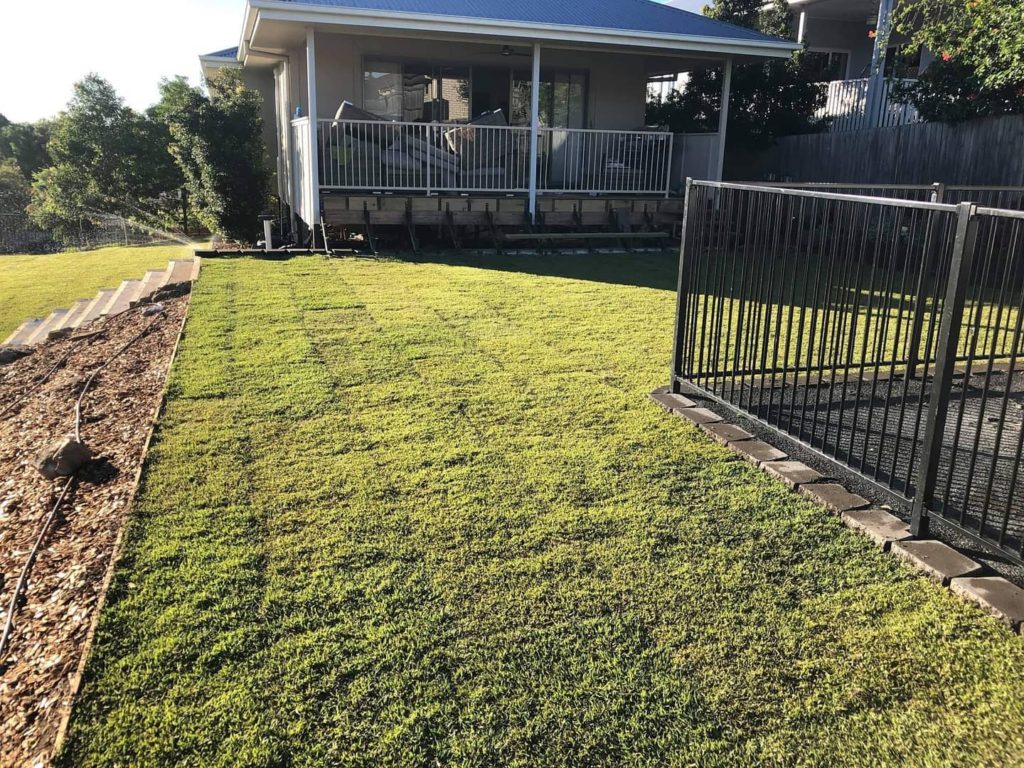 Breathe Life into Your Backyard: A Yard Grading Leveling and Turfing